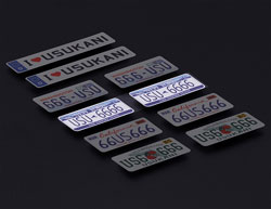 3Dナンバープレートステッカー NEW YORK USU-6666 2枚入 [US88155]