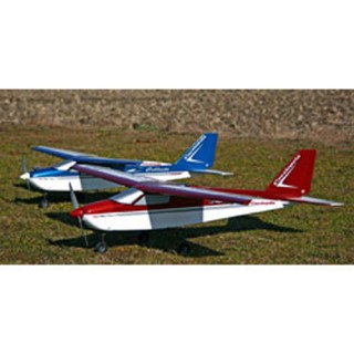 セレステARF ワインレッド [CAS-11078]]