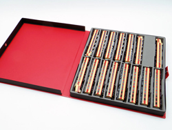 赤色の21m級16両用車両ケース(グレーウレタン) [YP-782]