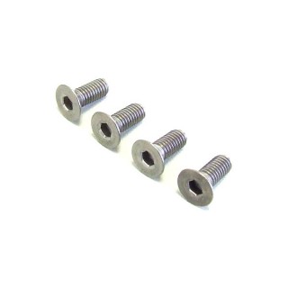 ヘックス皿ビス チタン3×8(4個入) [TB1308]]
