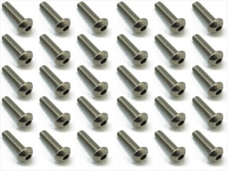 チタンヘックスボタンビス 3×10 30本入 [NTR-3310]