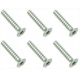 チタンヘックス皿タッピング ３×１６ [STP-316]]