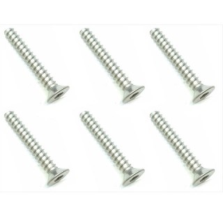 チタンヘックス皿タッピング ３×２０ [STP-320]]