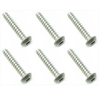 チタンヘックスボタンタッピング３×１６ [NTP-316]]