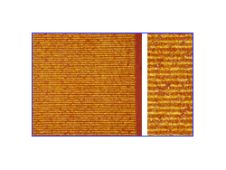 畑・生け垣シリーズ H-4 秋の畑(1) [11404]