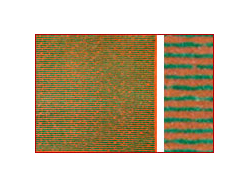 畑・生け垣シリーズ H-2 夏の畑(1) [11402]