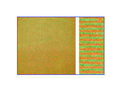 畑・生け垣シリーズ H-1 春の畑 [11401]