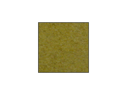 シーナリーパウダープロ CP-01 若草 [10309]