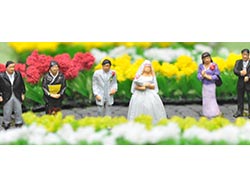 ザ・人間117 結婚式の人々 [281337]