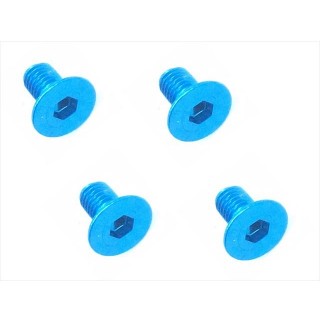 ジュラルミンヘックスビス皿３×６ｍｍ（４ｐｃｓ） [SAR-306TB]]