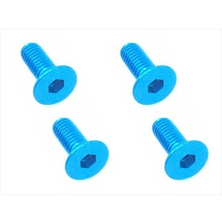 ７０?７５ヘックスビス皿３×８ｍｍ（４ｐｃｓ） [SAR-308TB]]