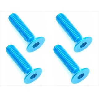 ７０?７５ヘックスビス皿３×１２ｍｍ（４ｐｃｓ） [SAR-312TB]]