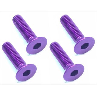 ７０?７５ヘックスサラビス ３×１２ パープル [SAR-312P]]