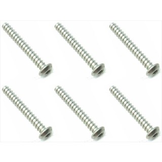 チタンヘックスボタンタッピング３×２２ [NTP-322]]