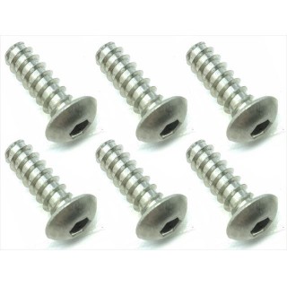チタンヘックスボタンタッピングビス ４×１２ [NTP-412]]