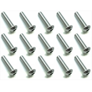 ステンヘックスボタンビス ３×１０ [NSR-310]]