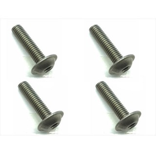 チタン六角フランジビス３×１２ [FTR-312]]