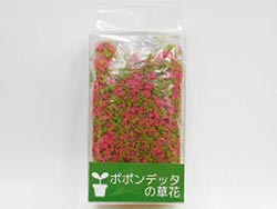 草花 レッド [CT-104]