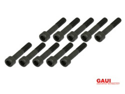GAUI ソケットヘッドキャップスクリュー M3×6(10個) [GAU-842026]