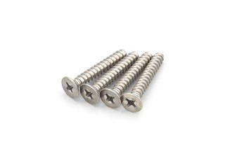 TPサラビス(M4×25)(チタン/4入) [1-S34025TPT]