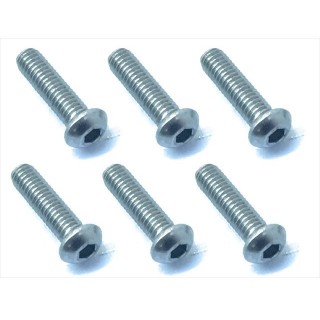 チタンヘックスボタンビス２.６×１０ｍｍ [NTR-2610]]