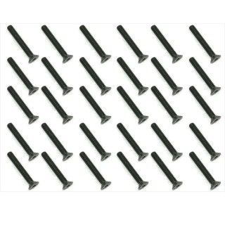 スチールヘックスストロングビス ３×２０ [SST-320L]]