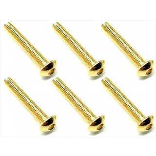 ２４Ｋゴールド ステンヘックスビス ３×１６ [NSR-318G]]