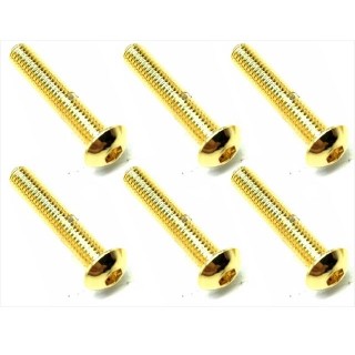 ２４Ｋゴールド ステンヘックスビス ３×１６ [NSR-316G]]