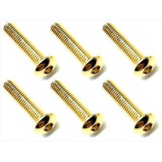 ２４Ｋゴールド ステンヘックスビス ３×１４ [NSR-314G]]