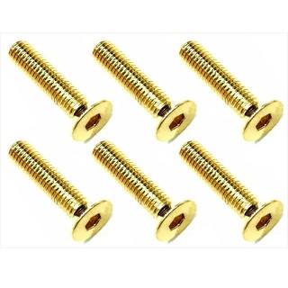 ２４Ｋゴールド ステンヘックス皿ビス ３×１４ [SSR-314G]]