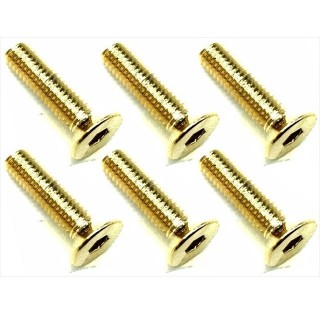 ２４Ｋゴールド ステンヘックス皿ビス ３×１２ [SSR-312G]]