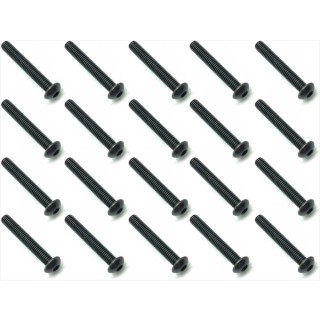 スチールヘックスビス ボタン３×２０ ２０入 [NST-320]]