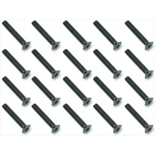 スチールヘックスビス 皿頭小3×18 20入 [SST-318]]