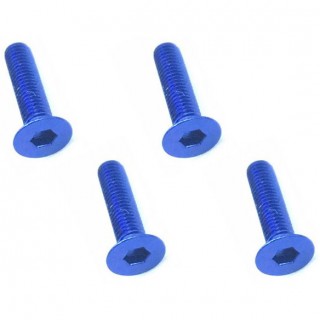 70-75ジュラルミンヘックス皿ビス3×14(ブルー)4本入 [SAR-314BY]]