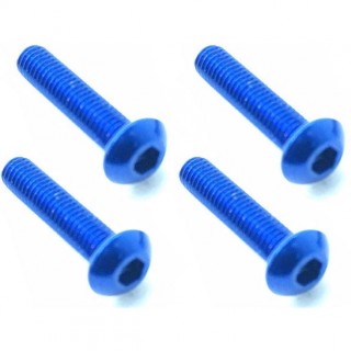 70-75ジュラルミンヘックスボタンビス 3×14(濃ブルー) 4本入 [NAR-314BY]]