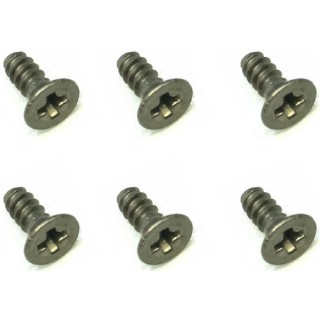 チタン皿タッピングビス 2×5 ミニッツ用 [SGP-205]]