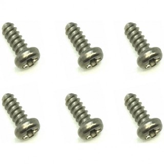 チタンナベＴＰビス 2×5 6本入(＋頭) [NGP-205]]