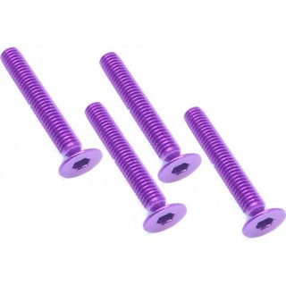 70-75ジュラルミンヘックス皿ビス 3×20(パープル) 4本入 [SAR-320P]]