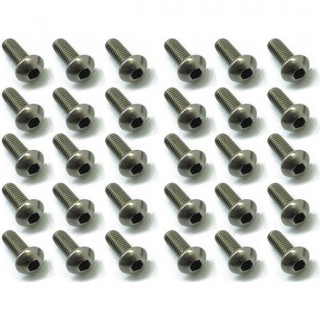 チタンヘックスボタンビス 3×8 30本入 [NTR-3308]]