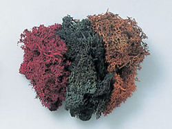 ライケン(ブラウンミックス) [8124]