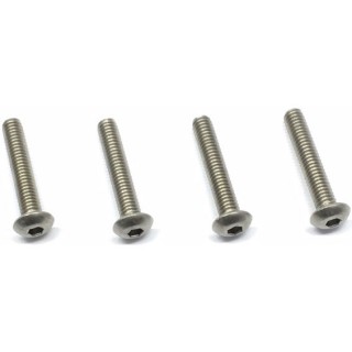 チタンヘックスボタンビス 4×22 4本入 [NTR-422]]