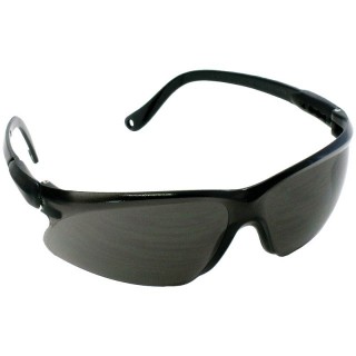 X-ゴーグル(スモーク) [SGX-2]]