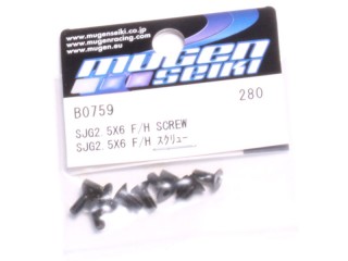 SG2.5×6 F/Hスクリュー(10pcs) [B0759]