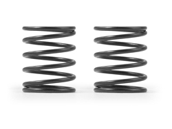 4S ダンパースプリング(C=2.8/2pcs) [308288#]