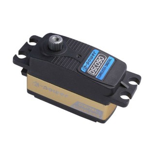 DSC090 9.3kg/0.08sec [DSC090]