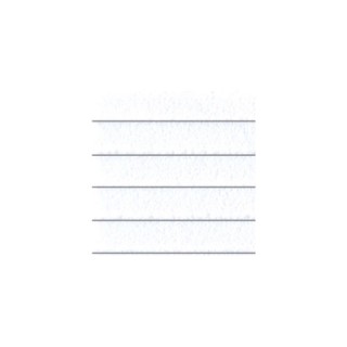 デザインプラスチックペーパー NDP11 ラップサイディング100(ホワイト)(2枚入) [TY-11711]]