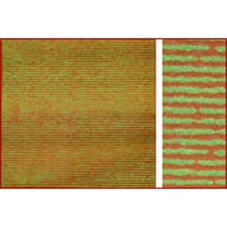 畑シリーズC H-3/夏の畑 [H-3]