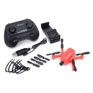 LUCIDA(Red) [GB121]]