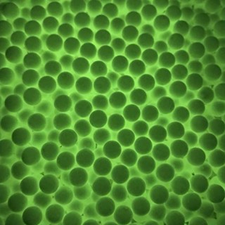 GALLOP 蓄光バイオBB弾 0.25g グリーン [MG025-030L]]