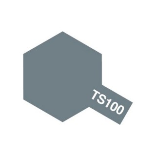 ブライトガンメタル(セミグロス) [TS-100]]